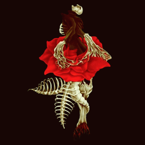 Beeldenstorm : Die Donker Wetenskap